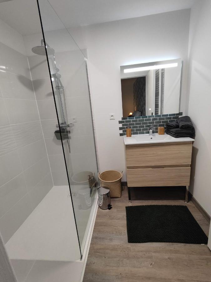 O Loft - 3 Chambres Avec 3 Salles De Bains - Parking - Climatisation Albi Exterior foto