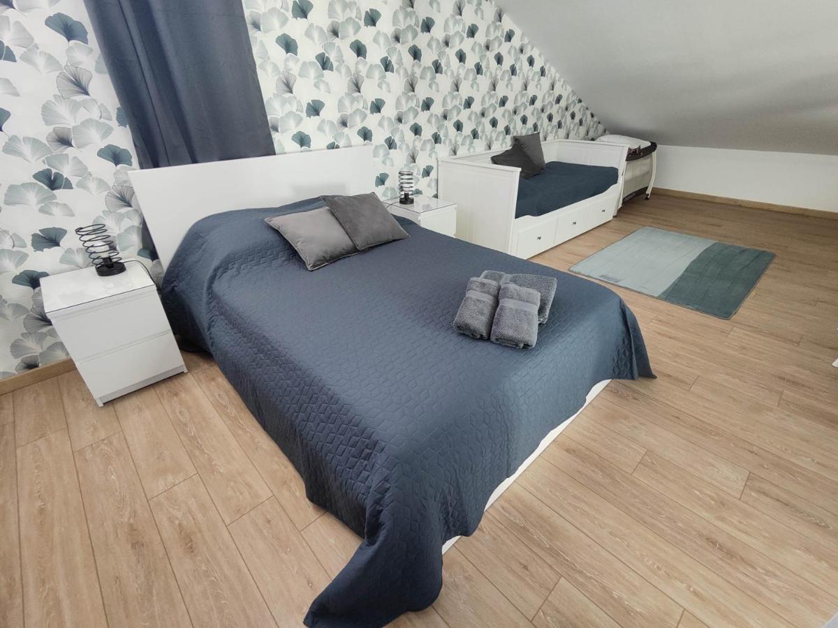 O Loft - 3 Chambres Avec 3 Salles De Bains - Parking - Climatisation Albi Exterior foto