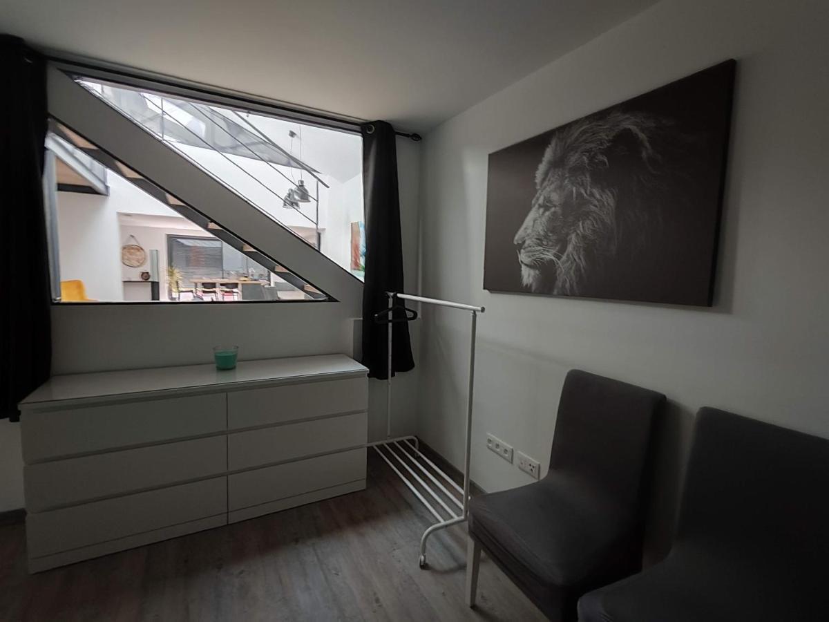 O Loft - 3 Chambres Avec 3 Salles De Bains - Parking - Climatisation Albi Exterior foto