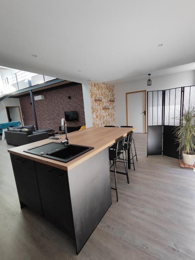 O Loft - 3 Chambres Avec 3 Salles De Bains - Parking - Climatisation Albi Exterior foto